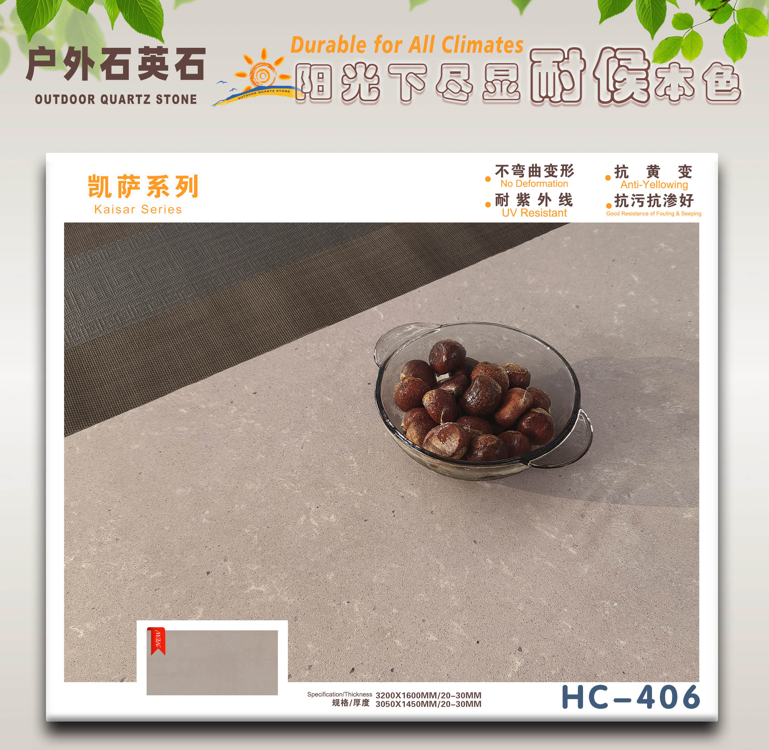 ʯӢʯ-P_ϵHC-406
